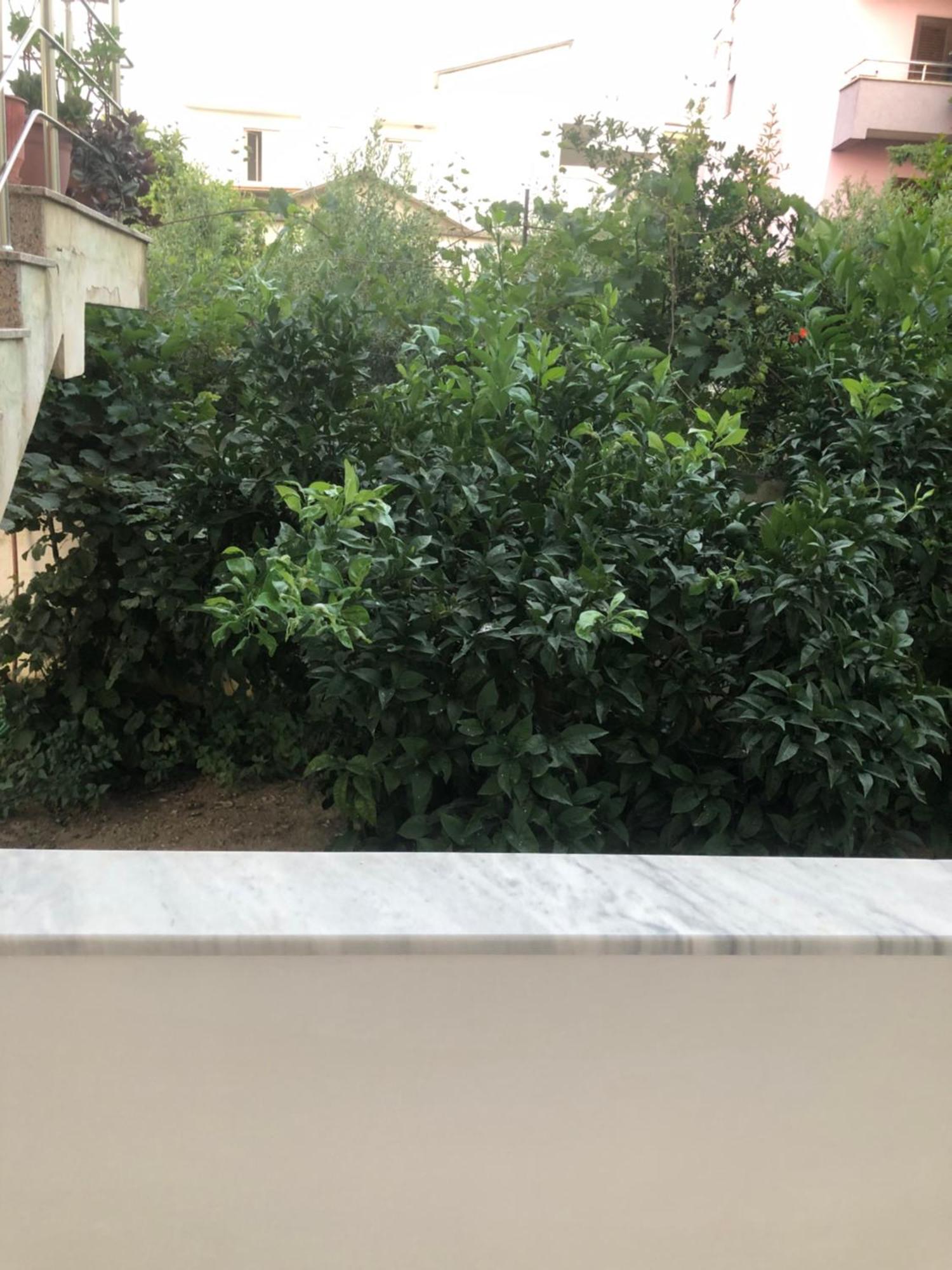 Rooms For Rent دراس المظهر الخارجي الصورة